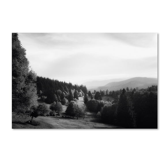 Trademark Fine Art "Spotlight" Canvas Art by Philippe Sainte-Laudy