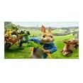 thumbnail image 1 of Peter Rabbit Fondo Temático Pancarta Suministros de Decoración para Fiesta de Cumpleaños, Decoración de Fondo de Fiesta Personalizado,150x90cm, 1 of 6