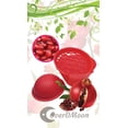 thumbnail image 2 of OverDMoon Pomegranate Deseeder, 2 of 2