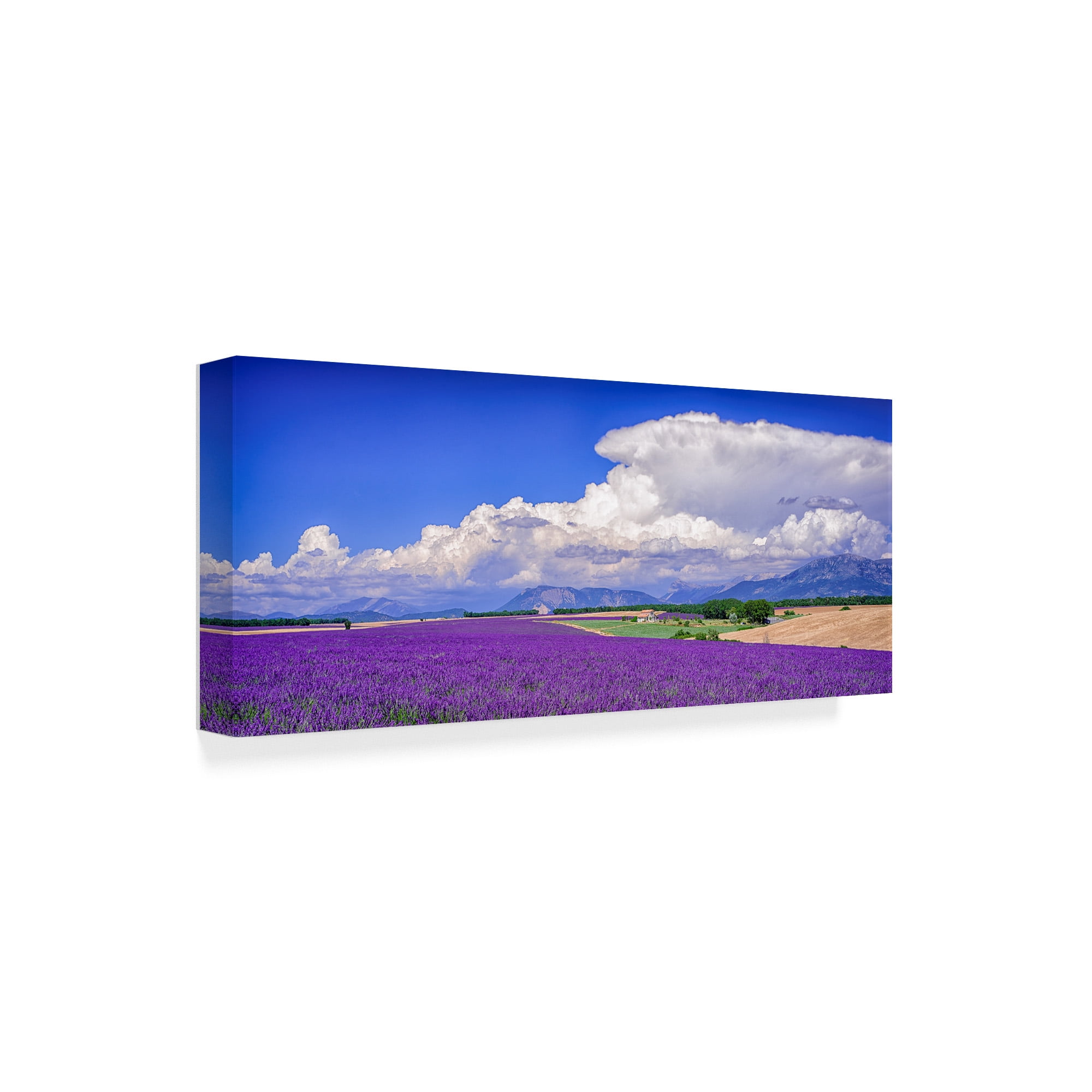 Cloud Bank Over Lavender Panorama' Canvas Art by Michael Blanchette Photography