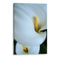 thumbnail image 1 of Cuadro decorativo - Alcatraces, Mauricio Silerio 90x135 Canvas Lab Botánica, Floral, Naturaleza,, 1 of 2