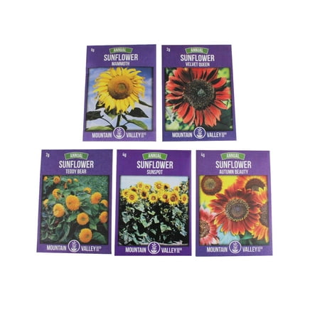 Annual Sunflower Garden Seeds - 5 Variety of Sun Flower Seeds for Growing - Autumn Beauty, Sunspot, Velvet Queen, Teddy Bear,