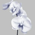 thumbnail image 2 of Poinski, Dianne 20x20 Black Ornate Wood Framed with Double Matting Museum Art Print Titled - Lilac Orchids 3, 2 of 4