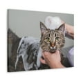 thumbnail image 5 of Cute Gray Cat Bath Canvas Wall Art for Home Decor Ready-to-Hang, 5 of 18