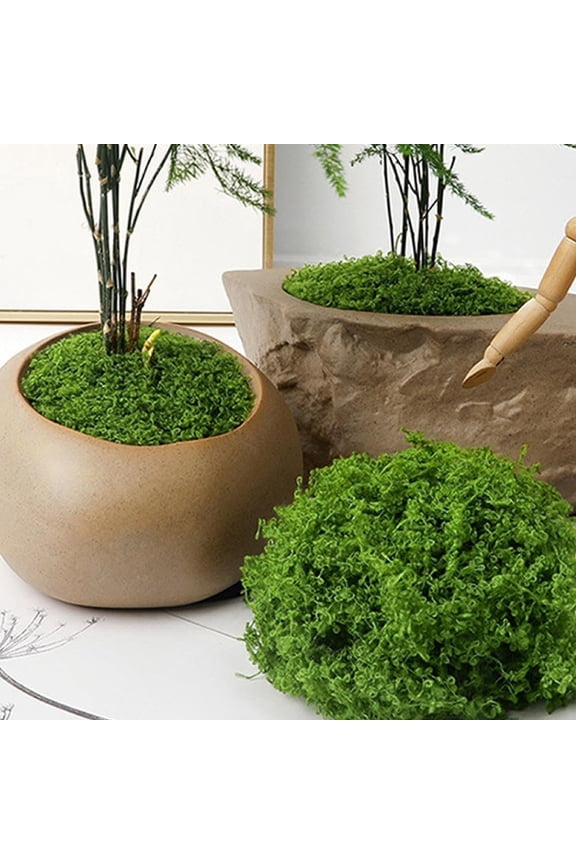 Specollect Clearance 1 Packs Simulated Green Moss for Crafts Decorative Filler planters Decor Artificial Table Centerpieces Wedding Christmas Fairy Party Decor, Faux Indoor Planters, DIY Projec