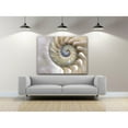 thumbnail image 2 of Sea Shell Swirl Photography Canvas Art 40 x 30, 2 of 4
