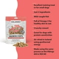 thumbnail image 3 of Icelandic+ Mini Fish Chips: Salmon 2.5oz - Dog Treats, For Training & Small Dogs, 2 Ingredient Air-Dried Crunchy Chips, 3 of 6