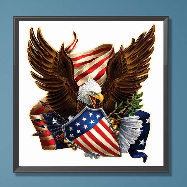 Cuadros Decorativos 5D bricolaje ronda completa taladro diamante pintura Eagle Kit decoración del hogar (QQ557) Wdftyju embutido en tela