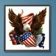 thumbnail image 1 of Cuadros Decorativos 5D bricolaje ronda completa taladro diamante pintura Eagle Kit decoración del hogar (QQ557) Wdftyju embutido en tela, 1 of 9