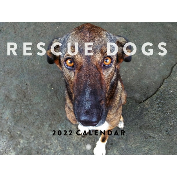 Rescue Dogs 2022 Wall Calendar Cute Funny Dog Breed Puppies Pets Rescue