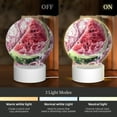 thumbnail image 3 of Salouo Watermelon Splash Realism Art for Round Acrylic Night Light - Acrylic Sheets with LED Light Lamp Base - Decorative Night Lamp for Restaurant Bar Cafe Shop Room Decoration, 3 of 9