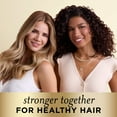 thumbnail image 6 of Pantene Pro-V Radiant Color Shine Shampoo and Conditioner, 10.4 fl oz + 9.0 fl oz, 6 of 10