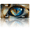 Cats eye, variant on 1 Pcs 2D Flat License Plate Covers & Frames, White Cat with Blue For Decorative Front, Waterproof For Decoration Aluminum License Plate Covers & Frames Cover For Men Women, 12" X 6"
