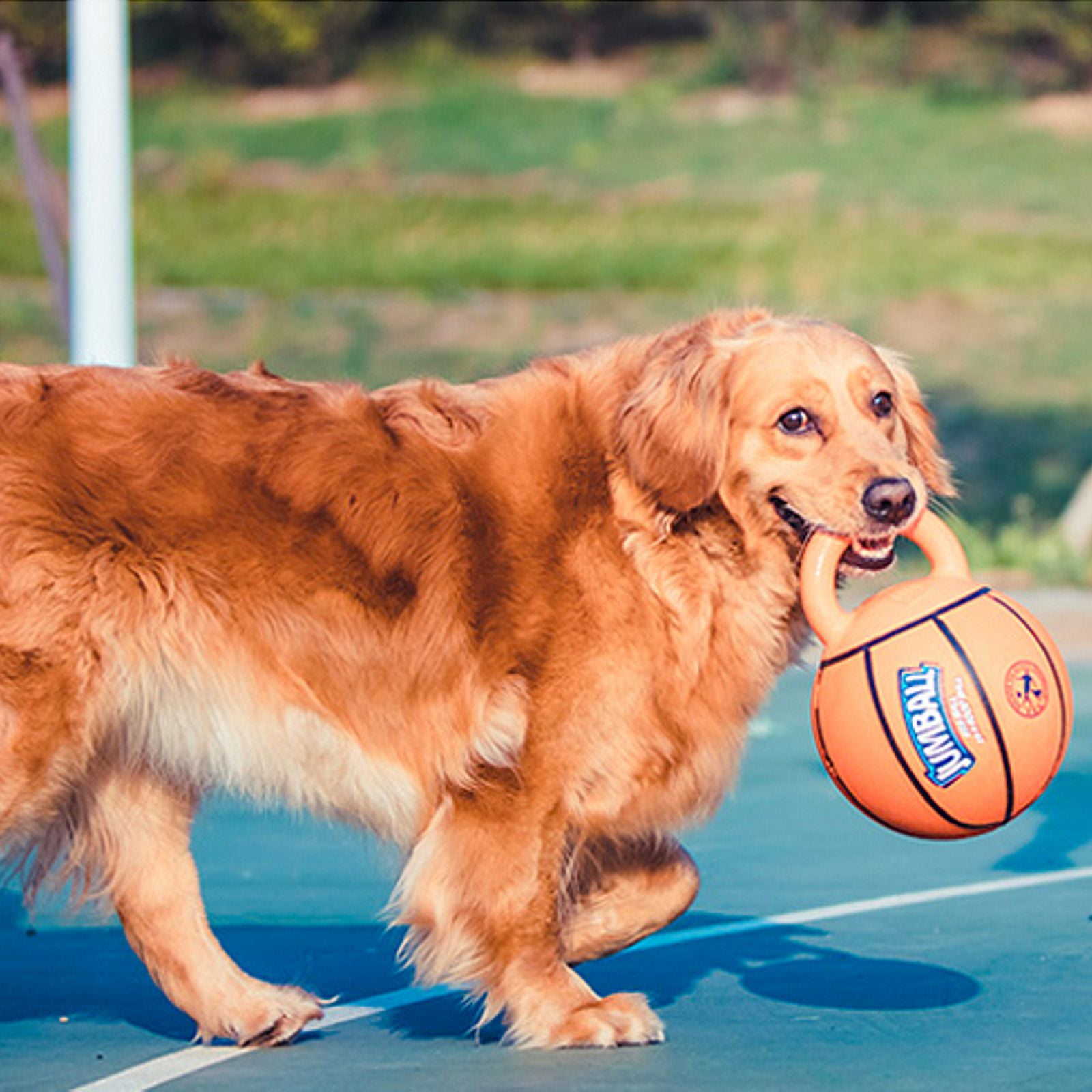Dog Toys JUMBALL Series Bite Resistant Pet Toy Ball Rubber Handle Interactive Training Medium and Large Dog Pet Supplies Colorful Basketball One size Walmart
