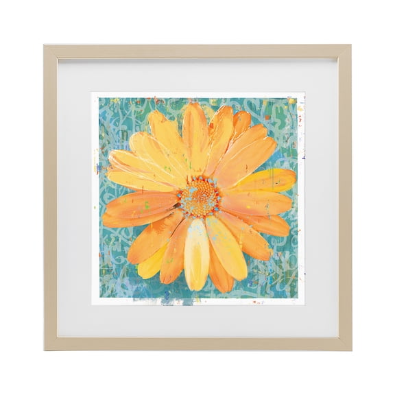 Stupell Industries Modern Urban Daisy over Graffiti Birch Framed Print Under Glass, 13 x 13, by Porter Hastings
