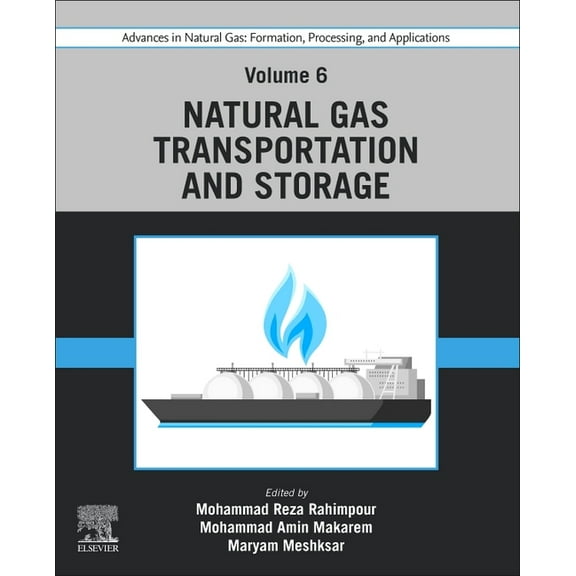 Advances in Natural Gas: Formation, Processing, and Applications. Volume 6: Natural Gas Transportation and Storage, (Paperback)