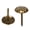 As Shown, variant on Pungan Furniture Nail 100pcs Brass Flower Pushpins for Photos and Bulletin Board,0.63"X0.43"X0.43"
