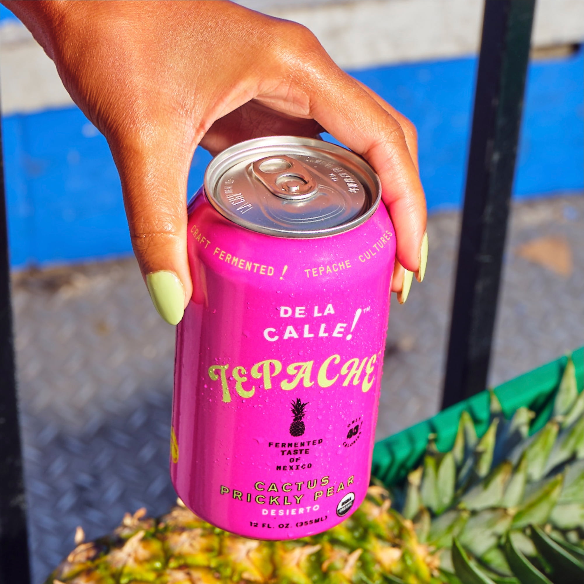 De La Calle Tepache, Modern Mexican Soda, 12 oz, Prickly Pear - Walmart.com