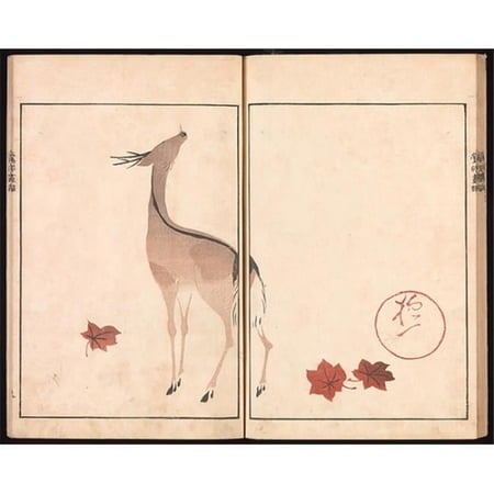 Oson - Hoitsu Picture Album - Oson Gafu Poster Print by Sakai Hoitsu - Japanese 1761 1828 - 18 x 24