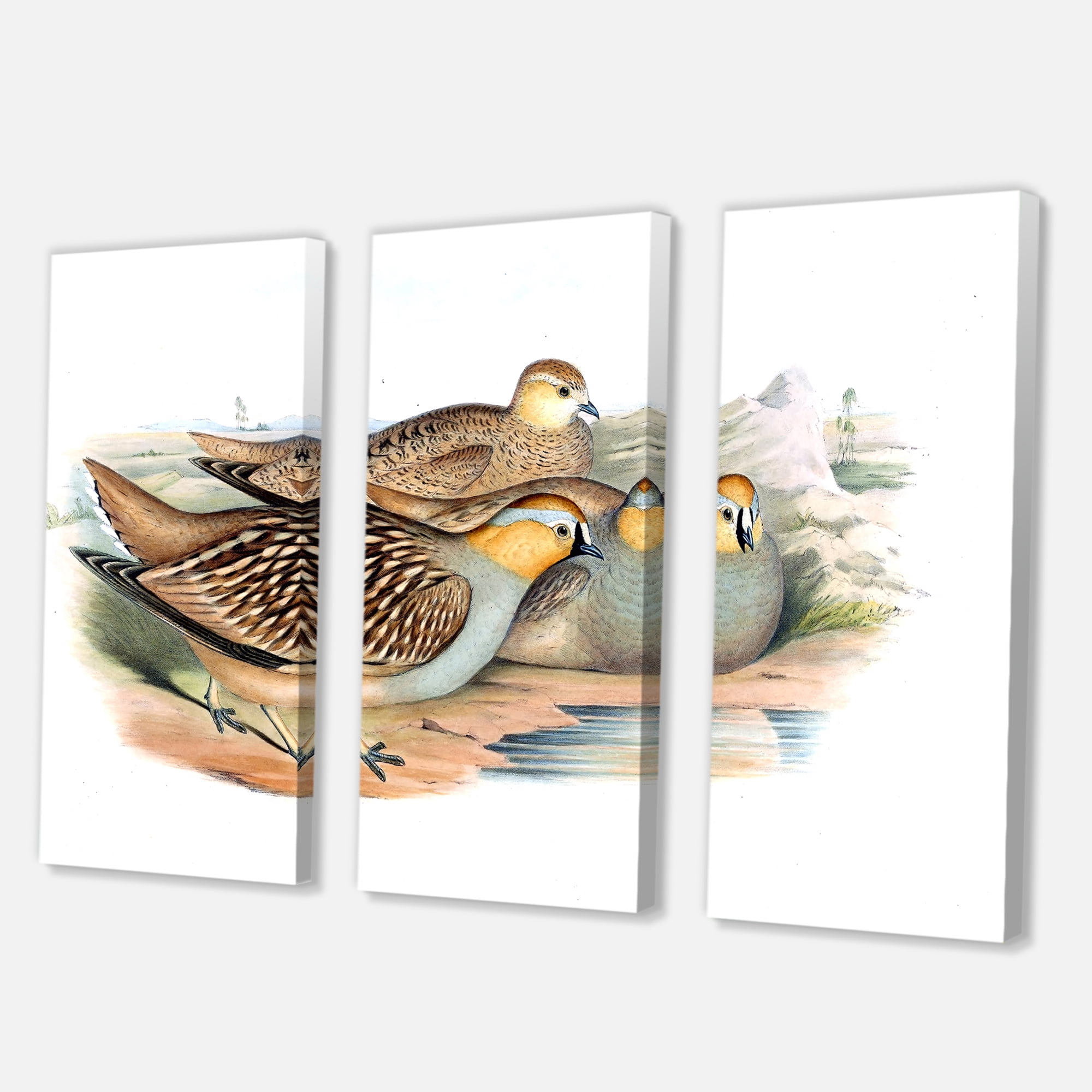 Designart ' Ancient Birds In The Wild III ' Traditional Canvas Wall Art Print
