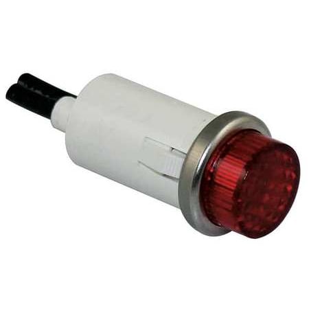 - DAYTON 22NY55 Raised Indicator Light,Red,240V