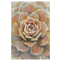 Masterpiece Art Gallery Desert Bloom Orange Succulent by Studio Arts Canvas Art Print 24" x 36"
