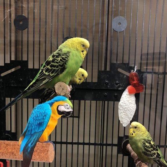 SEWCHICS Wooden Parrot Perch Stand with Nail Trimming Tool and Chew-Resistant for Birds