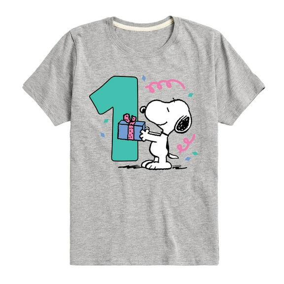 Peanuts - Snoopy and Friends Birthday Toddler and Youth Short Sleeve Graphic T-Shirt, Size 2T-Youth Xl