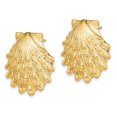 thumbnail image 5 of Auriga Fine Jewelry 14K Yellow Gold Lion's Paw Shell Stud Earrings for Women, 5 of 5