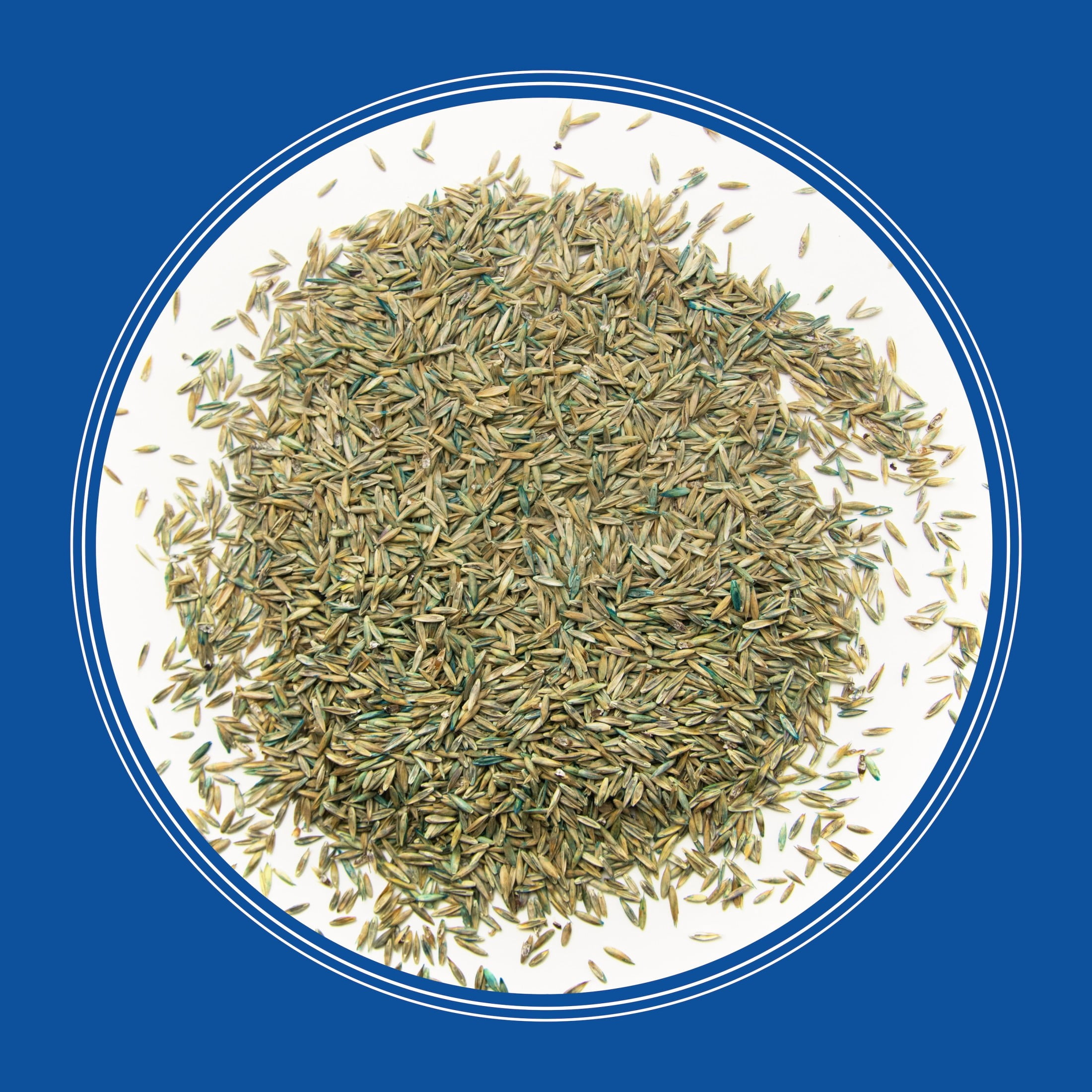 Pennington Smart Seed Professional Grass Seed Tall Fescue + Bluegrass Mix 50 lb