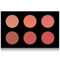 thumbnail image 5 of SHANY Shimmer & Matte Warm-Toned Blush Palette - Layer 6 - Refill for the 6 Layer Mini Masterpiece Collection Makeup Set, 5 of 5
