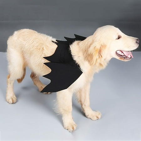CARLTON Animal Pet Dog Cat Bat Vampire Halloween Fancy Dress Costume Outfit Wings