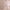 Beige, variant on BIMEI Mastectomy Bra with Pockets for Breast Prosthesis Women's Full Coverage Wirefree Everyday Bra plus size 8102,Beige,38C