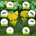 thumbnail image 2 of Miaoweii 30 Pack Fruit Fly Traps Fungus Gnat Traps, Yellow Sticky Traps Gnat Traps, Plant Sticky Traps for Bugs,Non-Toxic and Odorless for Indoor Outdoor Use Protect The Plant, 2 of 6