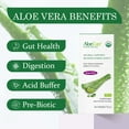 thumbnail image 4 of AloeCure USDA Organic Aloe Vera Juice Grape Flavor, Made Within 12 Hours of Harvest - Pure Inner Leaf Aloe Vera Juice, Natural Acid Buffer for Digestive & Immune Support, 4 of 9