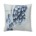thumbnail image 2 of Ahgly Company Foods Blueberries Indoor Throw Pillow, 18 inch by 18 inch, 2 of 6