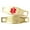 Red | Impact Engraving, variant on MedicEngraved Yellow Gold Stainless Steel Custom Medical Alert Bracelet - 5mm Oval Link