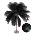 thumbnail image 1 of Ostrich Feather Table Lamp, 30PCS Feathers 3 Color Dimming Cordless USB Rechargeable Touch Control Desk Night Light, Modern Decorative Bedside Lamp Bulb Included For Bedroom Living, 1 of 8