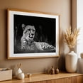 thumbnail image 5 of Cheetah - Photography Wildlife Black and White Animal Nature Unframed Wall Art Print 5 x 7 inches, 5 of 7