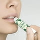 thumbnail image 4 of 80 pegatinas autoadhesivas para bálsamo labial, 8 estilos, con forma de hoja verde, para bálsamo labial casero, estilo vintage, cuadradas, para bricolaje., 4 of 9