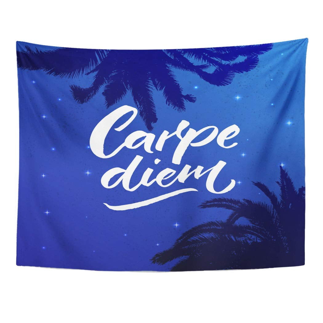 carpe diem latin carpe diem latin