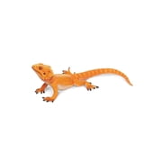 Safari Ltd. Bearded Dragon Figurine - Lifelike 8.5 Model Figure - Educational Toy for Boys, Girls, and Kids Ages 18M+