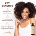 thumbnail image 3 of Damila Deep Cleansing Shampoo - Clarifying Shampoo For All Hair Types - Use Before Keratin Treatment, 33.8 fl. oz., 3 of 11