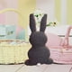 thumbnail image 5 of Almohada de Conejos, Almohada de Conejito de Pascua, Almohada de Lana de Cordero, Juguetes para Niños, 5 of 6