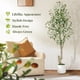 thumbnail image 2 of Double the elegance: 5ft (2pcs) de altura faux olive trees con blanca planters & green fake moss - enhance your home, oficina, sala de estar, dormitorio, stairs & foyer decor, 2 of 5