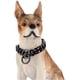 thumbnail image 4 of Gzmzc Collar De Cadena Para Perros Color Negro Acero Inoxida, 4 of 5