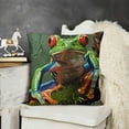 thumbnail image 2 of YINGXI  Throw Pillow Cover Cute Tree Frog Green Wild Animal Home Decor Pillowcase Cushion Cover 20x20in, 2 of 5