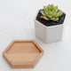 thumbnail image 2 of Ounissouiy Maceta hexagonal para cactus con orificio de drenaje para decoración de escritorio, servicio barato y posventa Jardín y Patio, 2 of 6