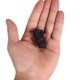 thumbnail image 4 of USHOBE 50Ud Para Oficina Negro Duradero Con Antideslizante, 4 of 7