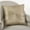 Gold, variant on Fennco Styles 20-inch Shimmering Starburst Down Filled Throw Pillow, 4 Colors (Silver)